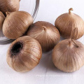 New Crop High Quality Anti-Aging Chinesischer Schwarzer Knoblauch